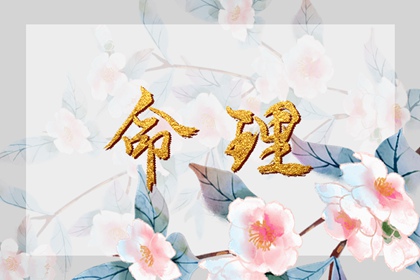 周易取名|起名字八字起名|火生土取名