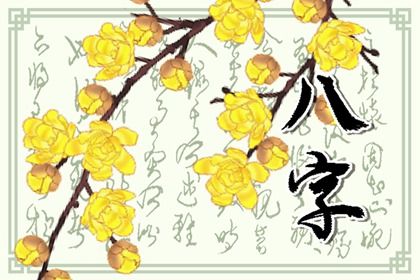 命宫身宫速读