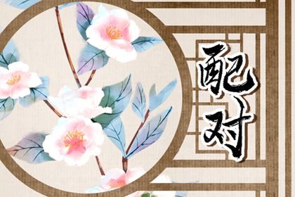 纳音配对：比和、相生与平衡