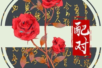 车牌吉凶测算2026,测试车牌号码吉凶得分,测算车牌号码