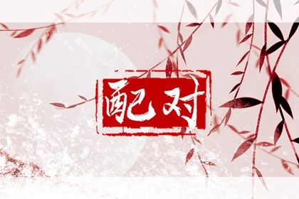 八宅风水与命宫配合