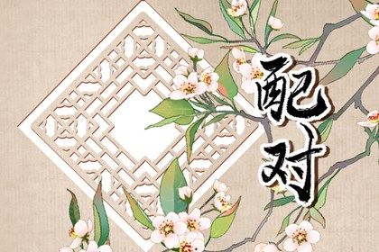 询车牌号码吉凶|汽车车牌号码吉凶查询|测车牌号码吉凶|车牌查吉凶|算车牌号码吉凶