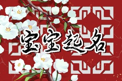 示例命局怎么用