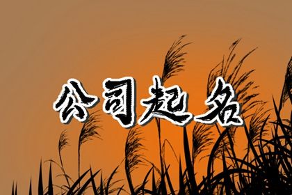 如何读本页示例