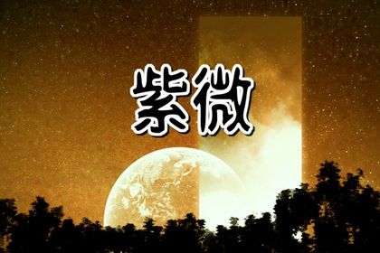本命星宿简介
