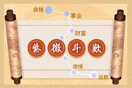 数字化紫微参考用法